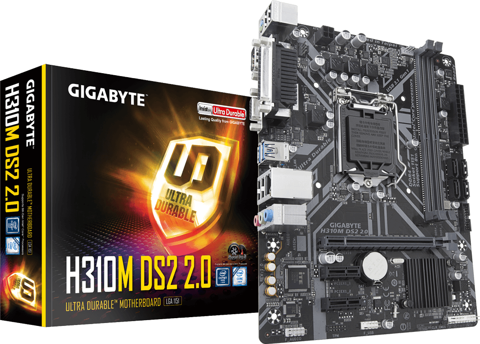 H310M DS2 2.0 (Rev. 1.0)