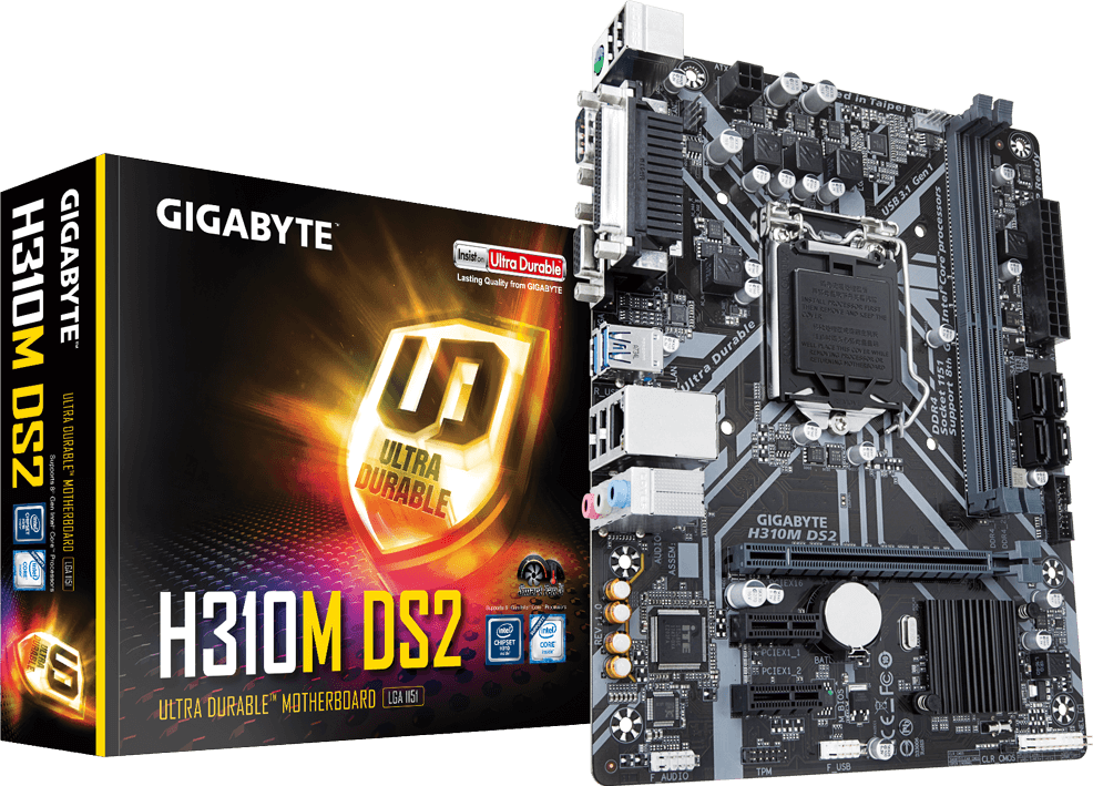 H310M DS2 (Rev. 1.0)